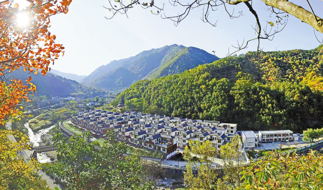 朱家灣村的綠色躍遷